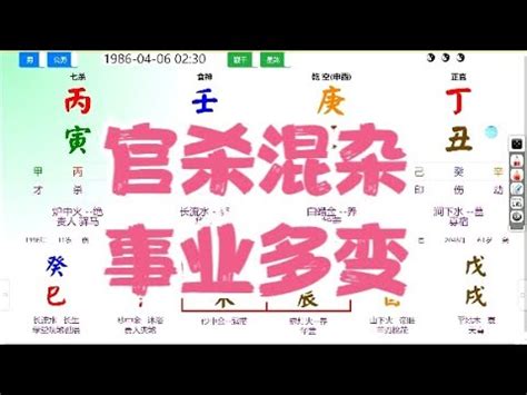 命 格 五行|免費線上八字計算機｜八字重量查詢、五行八字算